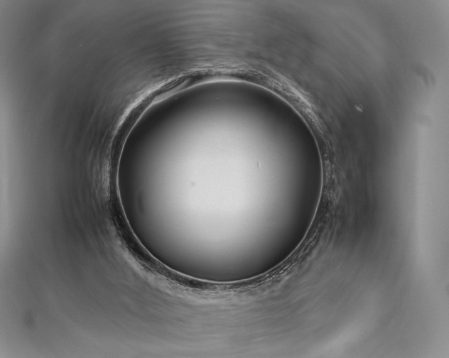 X0000113010012200908271419