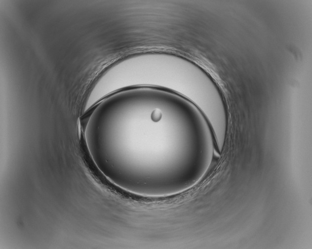 X0000113010013200908271419