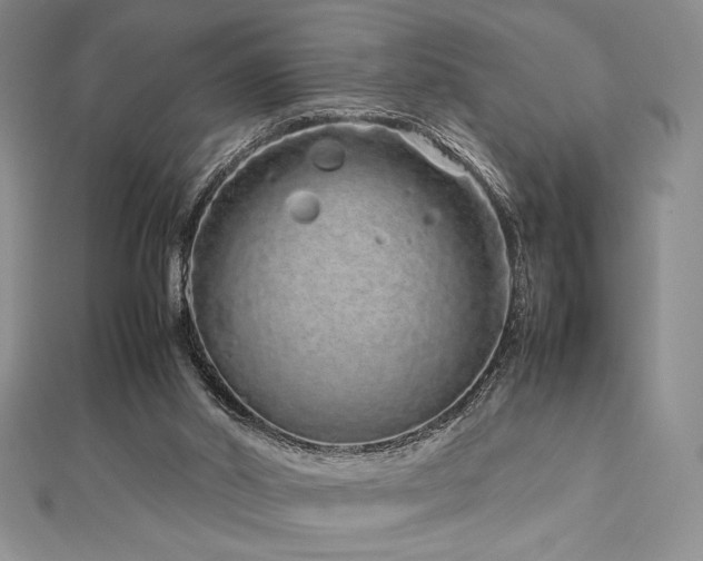 X0000113010014200908271419