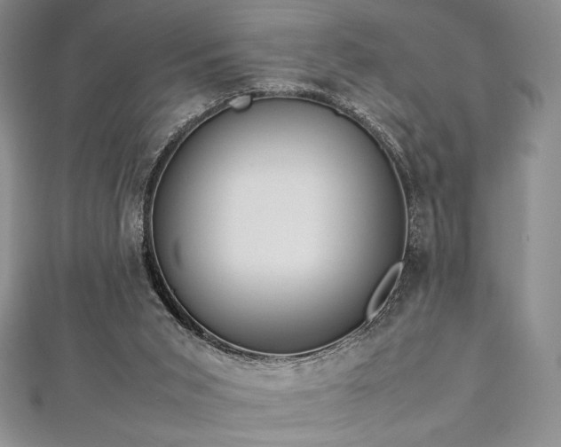 X0000113010015200908271419