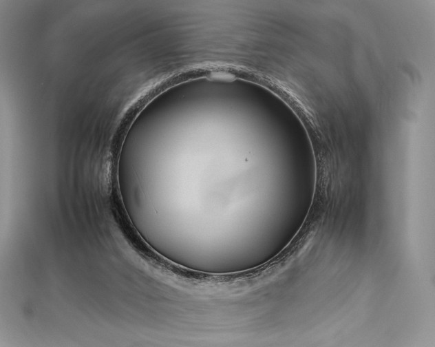 X0000113010016200908271419