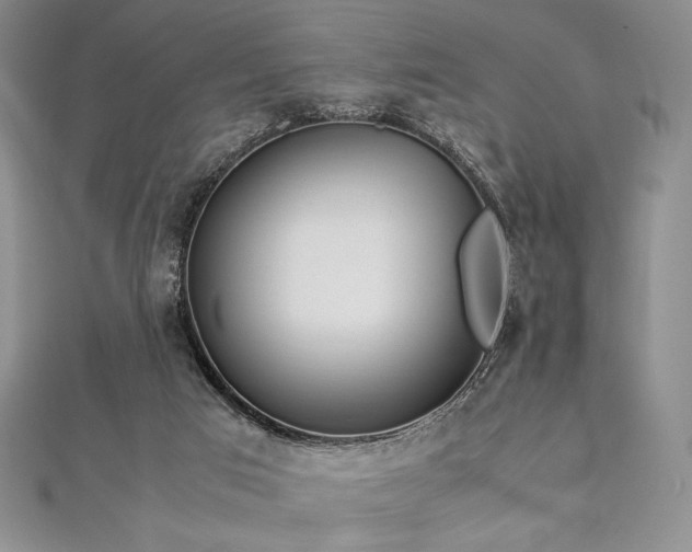 X0000113010017200908271419