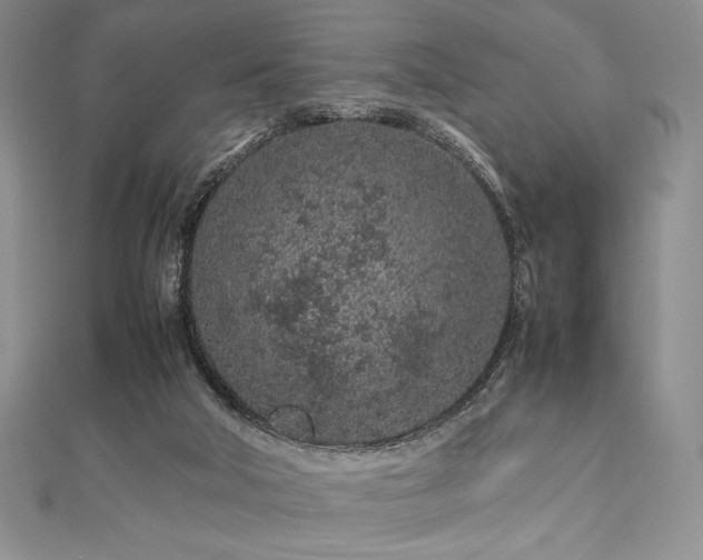 X0000113010018200908271419