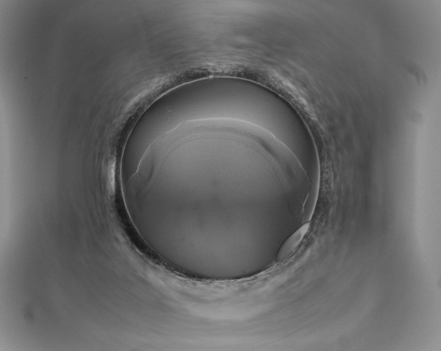 X0000113010019200908271419