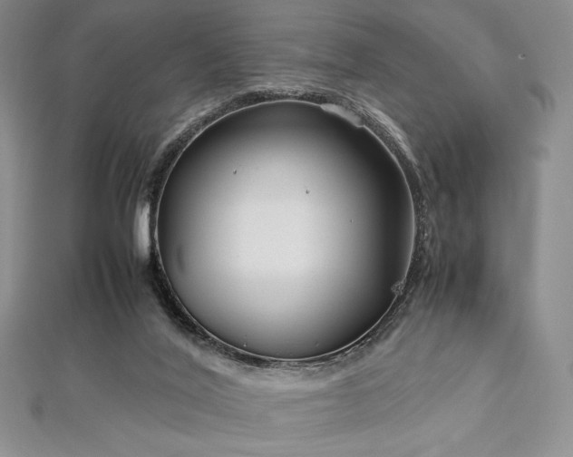 X0000113010020200908271419