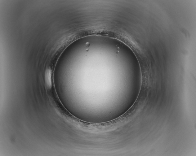 X0000113010022200908271419