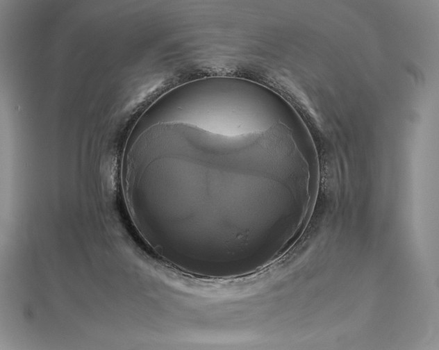 X0000113010023200908271419