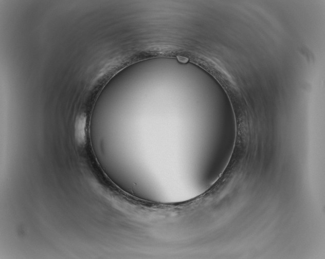 X0000113010024200908271419