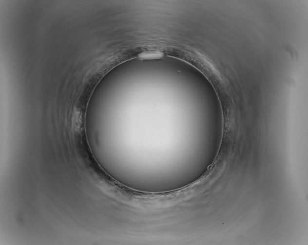 X0000113010025200908271419