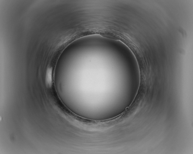 X0000113010028200908271418