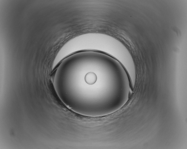 X0000113010029200908271418