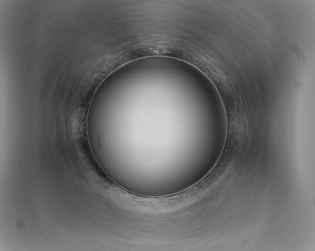 X0000113010030200908271418