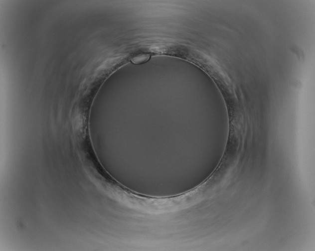 X0000113010031200908271418