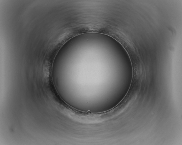 X0000113010032200908271418