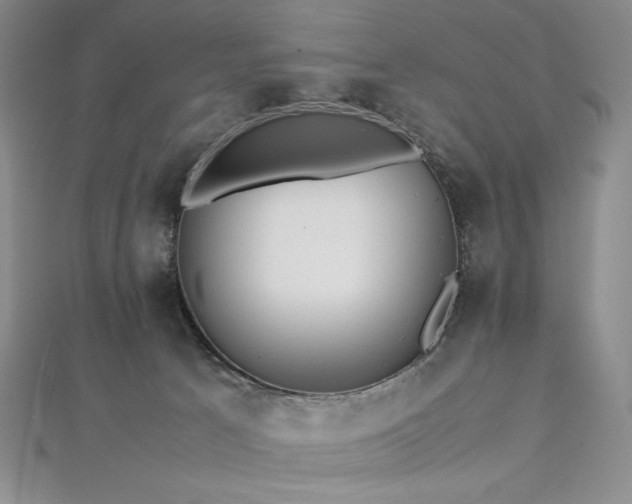 X0000113010033200908271418