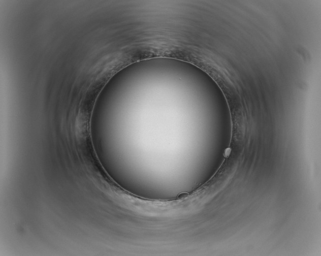 X0000113010034200908271418