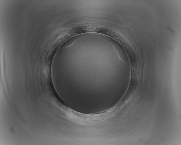 X0000113010035200908271418