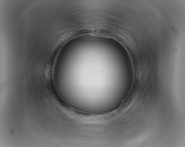 X0000113010036200908271418