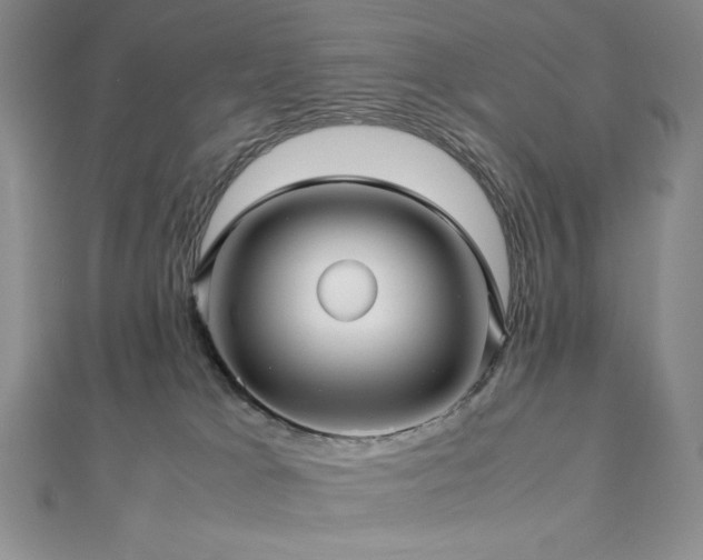 X0000113010037200908271418