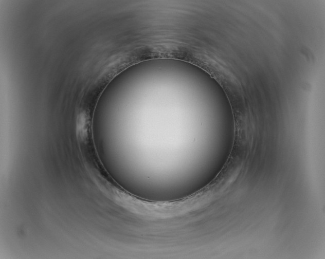 X0000113010038200908271418