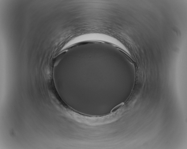 X0000113010039200908271418