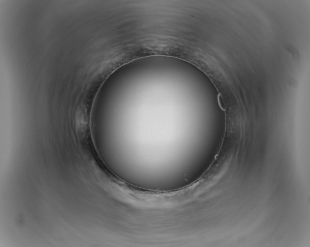 X0000113010040200908271418