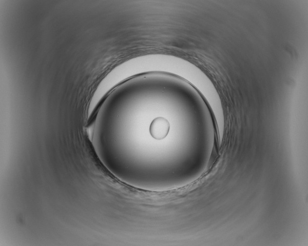 X0000113010041200908271418