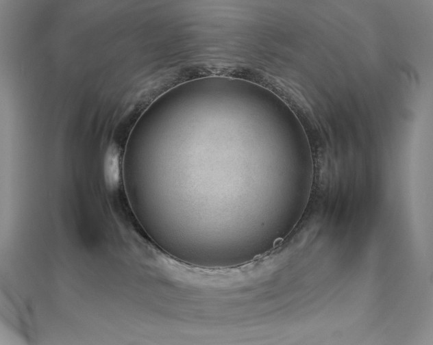 X0000113010042200908271418