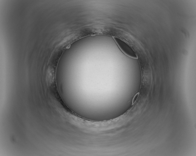 X0000113010043200908271418