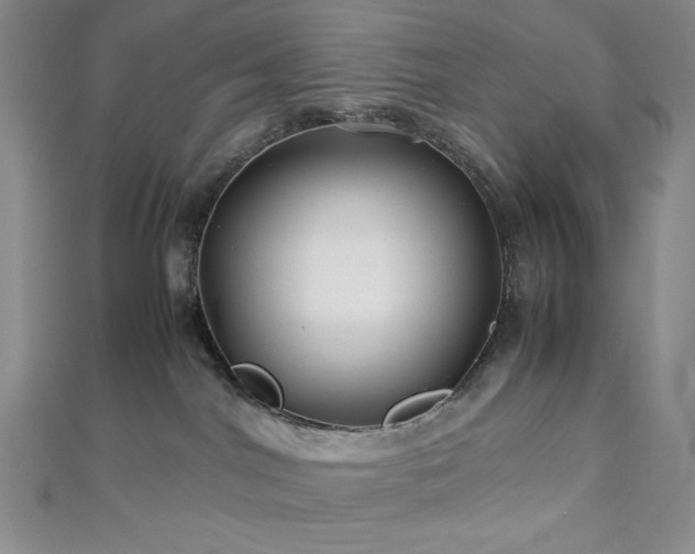 X0000113010044200908271418