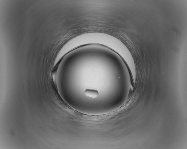 X0000113010045200908271418