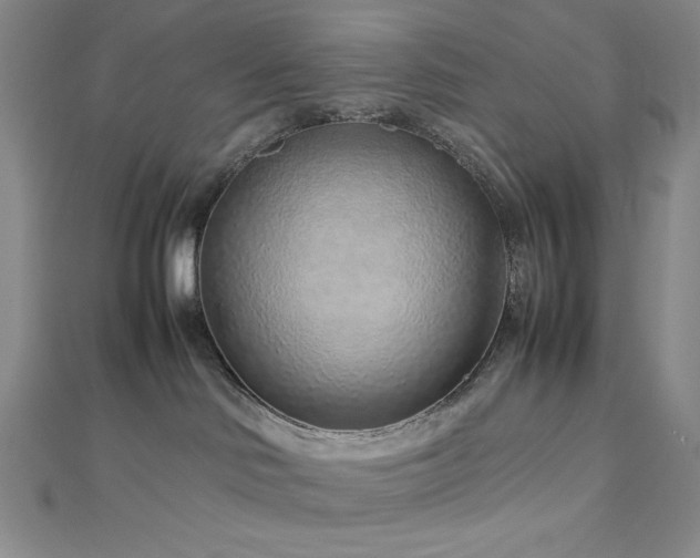 X0000113010046200908271418