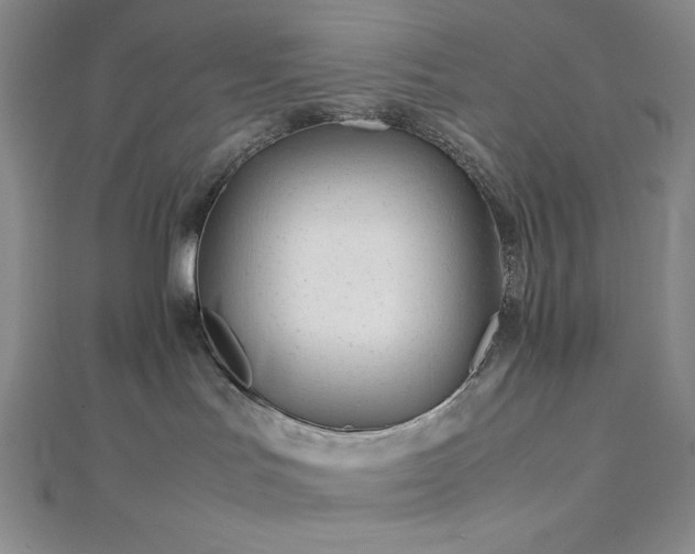 X0000113010047200908271418