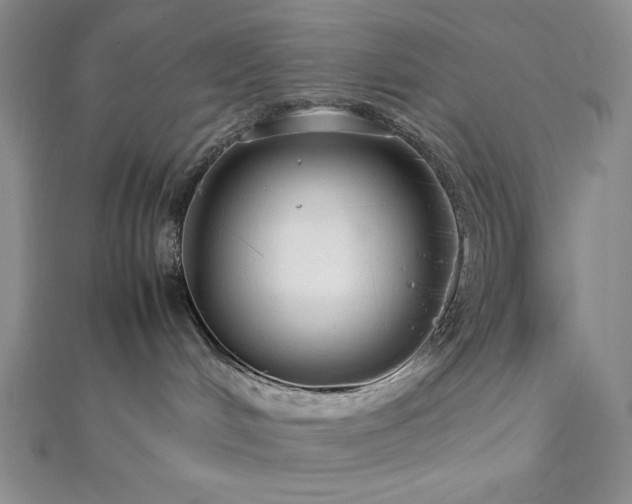 X0000113010048200908271418