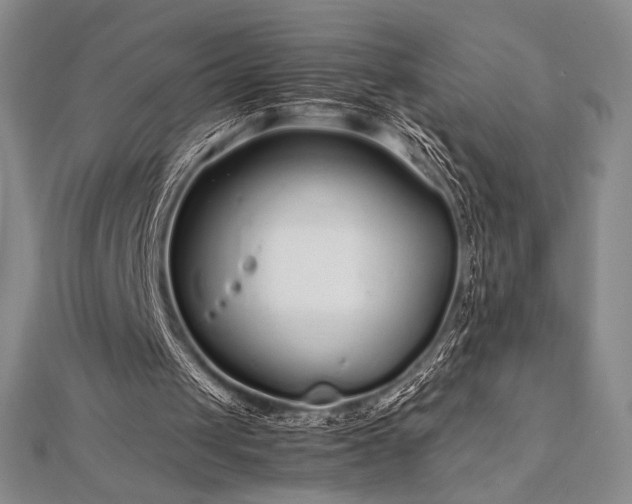 X0000113010049200908271418