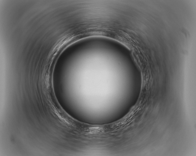 X0000113010050200908271418