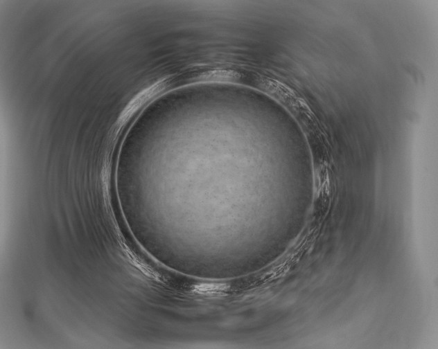 X0000113010051200908271418