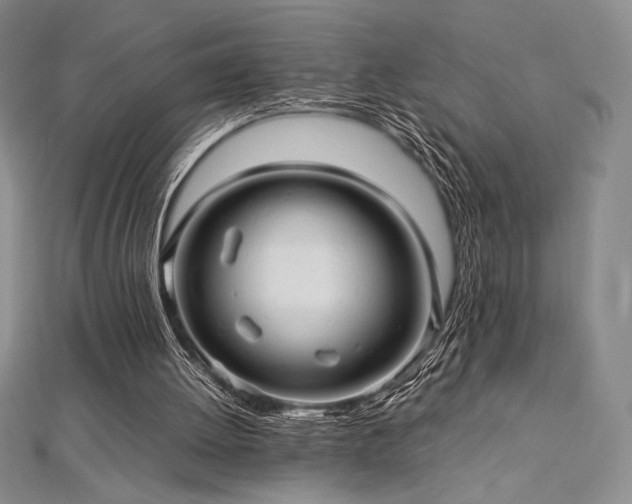 X0000113010052200908271418