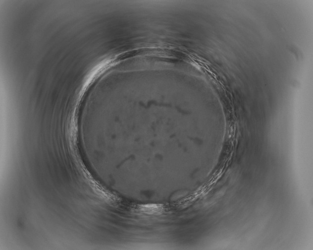 X0000113010053200908271418