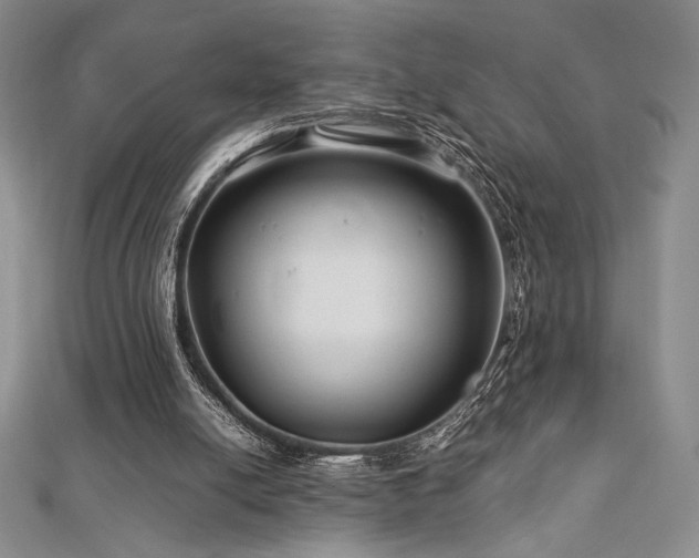 X0000113010054200908271418