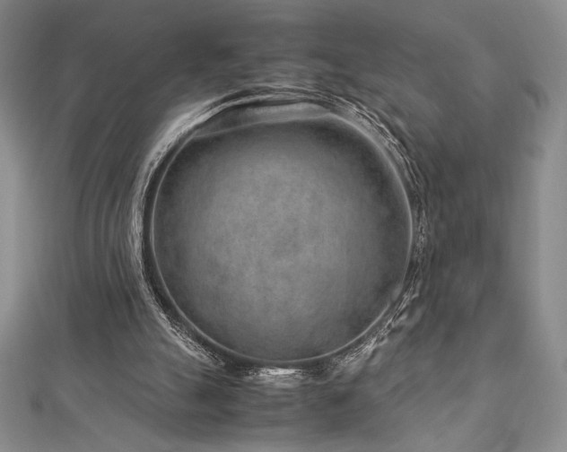 X0000113010055200908271418