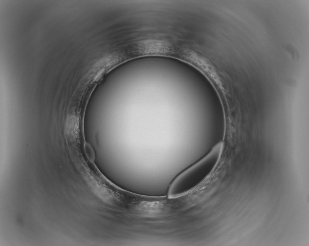 X0000113010057200908271418