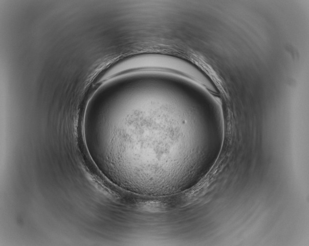 X0000113010058200908271418