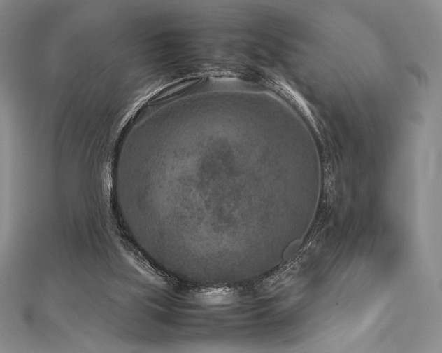 X0000113010059200908271418