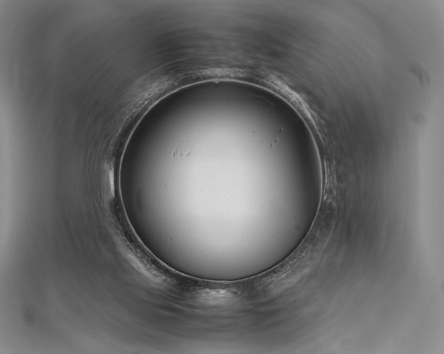 X0000113010061200908271418