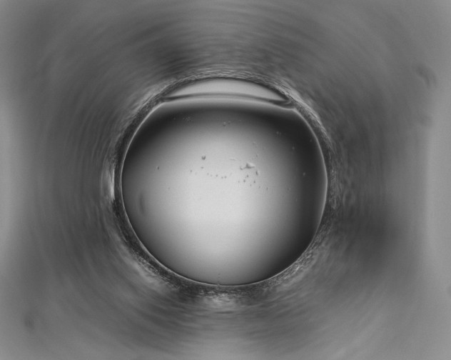 X0000113010062200908271418