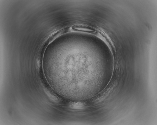 X0000113010063200908271418