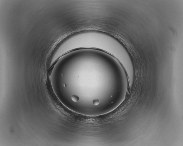 X0000113010064200908271418