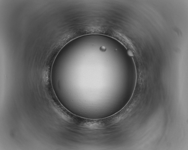 X0000113010065200908271418