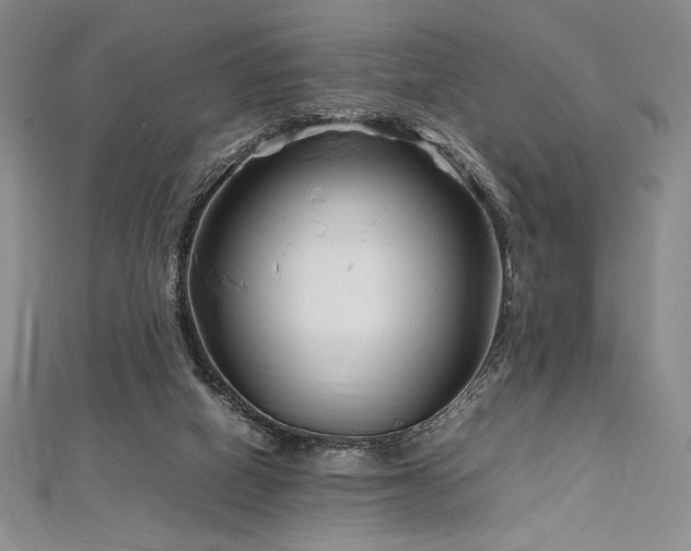 X0000113010066200908271418